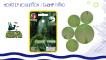 243-4-swamp-thing[1].jpg